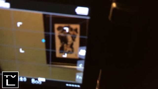 Viltrox 7'' DC-70 monitor review - Gear Whore: the A/V Slut смотреть онлайн