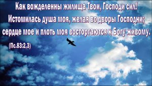 Моя душа дни долгие искала. Христианский гимн.