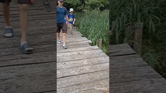 27 октября 2023 г. смотреть онлайн