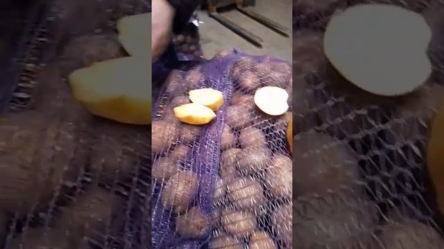 картофель Коломбо оптом смотреть онлайн