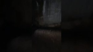 Подземелье дачи Геринга в Калининградской области, лето 2019