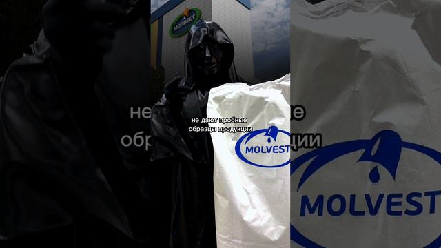 Молвест Протеин КСБ80  Обзор  Отзыв  Анализ  Содержание белка  Экспертиза shorts