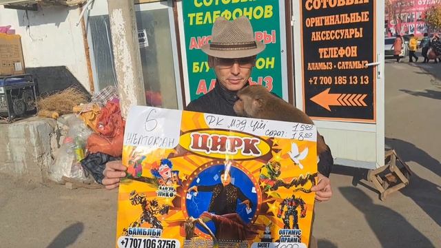 03.12.2023.Сарыағаш қаласы,мадениет үйінде,Алматы қаласынан келген циркка шақырамыз.06.12 2023 ж . смотреть онлайн