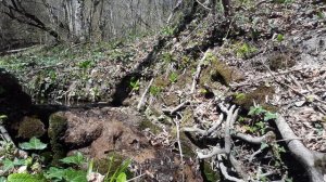 Сварга - звуковая медитация с визуализацией под варган.