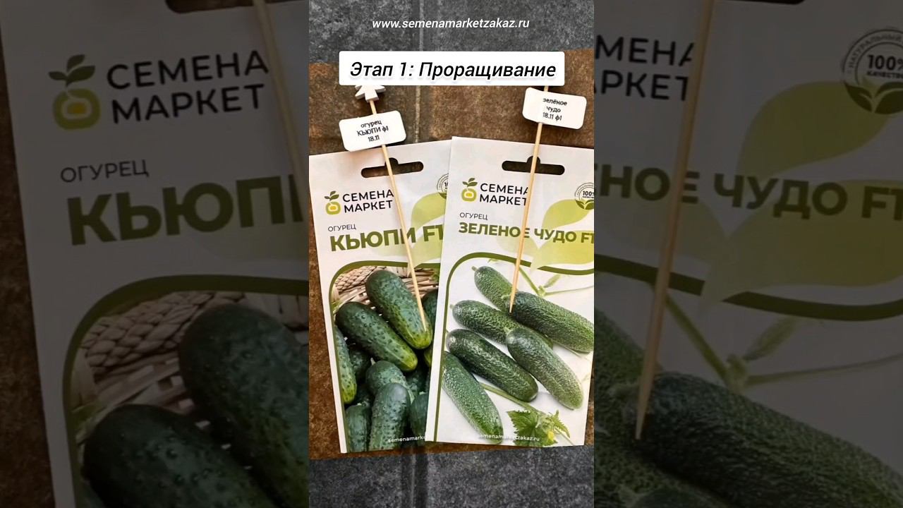 Проращивание семян в торфяных таблетках. Тестирование семян от наших подписчиков. #семена