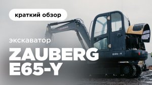 Гусеничный экскаватор I Экскаватор Zauberg E-65Y