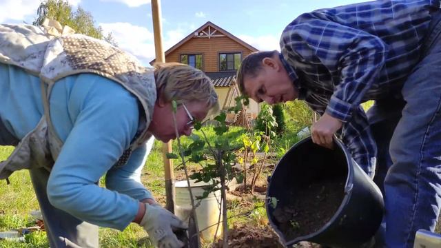 11.09.2021 Корни. Семья. смотреть онлайн