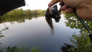 Мормышинг Осень Фиолетовая Танта DEMONIO FISHING