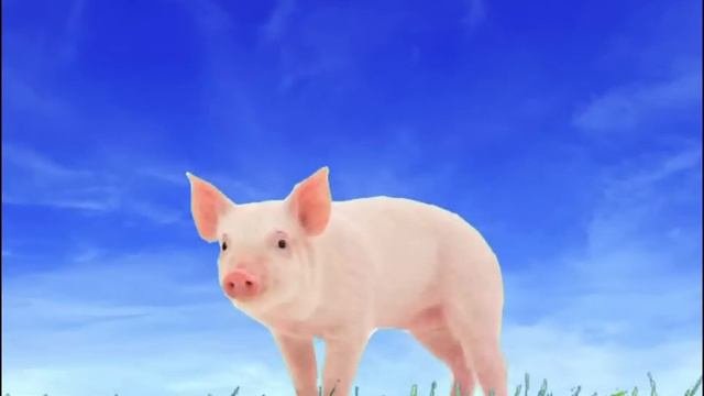 говорят животные 2
