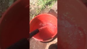 с.Подлужное Ставропольский край