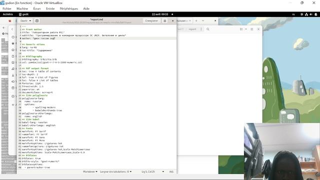 Отчет по лабораторной работе №11 смотреть онлайн