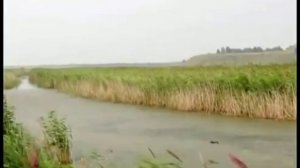 7 чудес Еманжелинска_Большой Сарыкуль