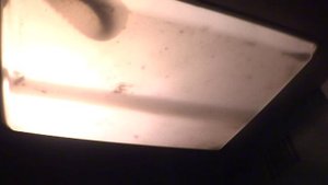 Грузовой лифт (г. Дрезна), V=1 м-с, г-п 630 кг