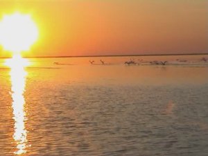 Дельта Волги. Вода обетованная.