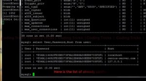 ERROR 1045 28000 Access denied for user 'root'@'localhost' using password NO | Coding Tricks