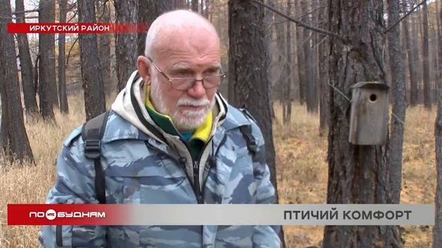 Домики для пернатых, или Как в регионе сохраняют численность редких птиц смотреть онлайн