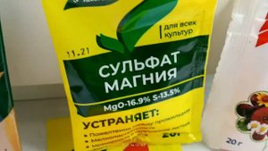 Хлороз рассады. Почему желтеют листья на рассаде?