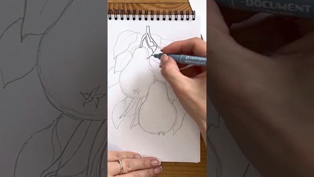 Новые скетчбуки "Империя Пикчер"