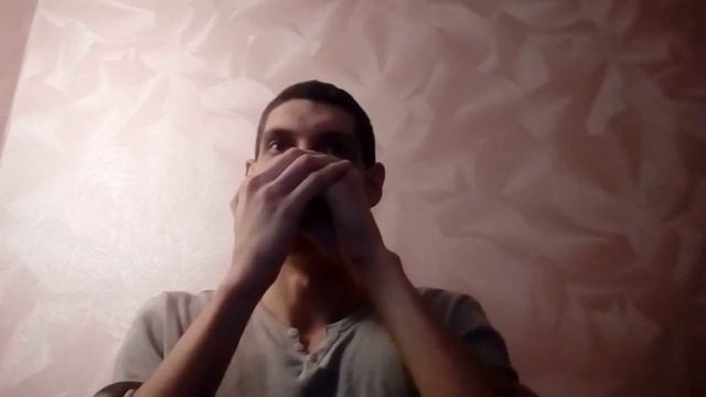 Harp/Harmonica - Day 35 смотреть онлайн