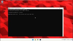 Приложению не удалось правильно запустить 0xc0000005 и 0xc00000e5 в Windows 11