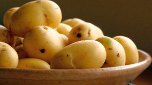 Почему чернеет картофель при варке, при хранении?