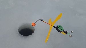 Поклевка поставушки на форель 19 февраля 2020 г.