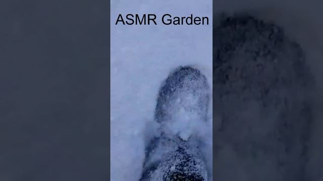 лучший асмр для сна #Shorts