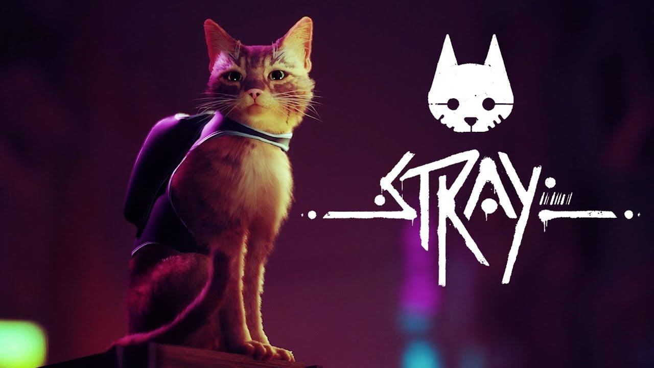 Stray (часть 2)