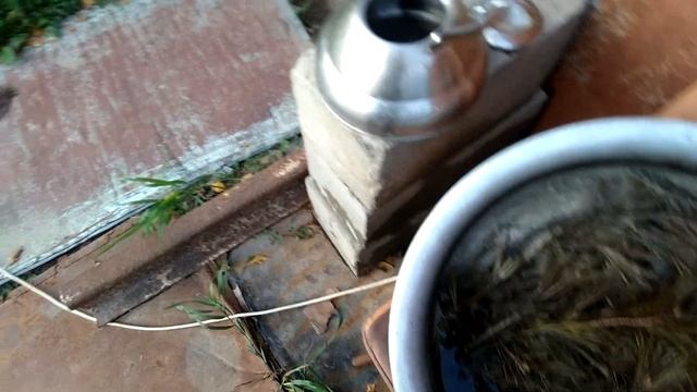Какой лучше состав сиропа в зиму