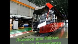 трамваи львёнок
