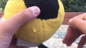 Angry Birds Bubbles Plush!