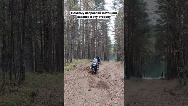По лесу на дорожной резине. Учитывай уклоны и строй свой пьяный маршрут по ним ? #мотошкола #мото смотреть онлайн