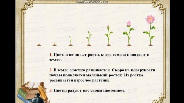 Структура текста 2 класс смотреть онлайн