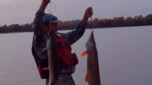 Катер Николь-Фаворит,пробный выезд