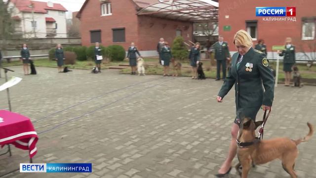 Под аплодисменты и лай! Кинологическая служба таможни отмечает 15-летний ю