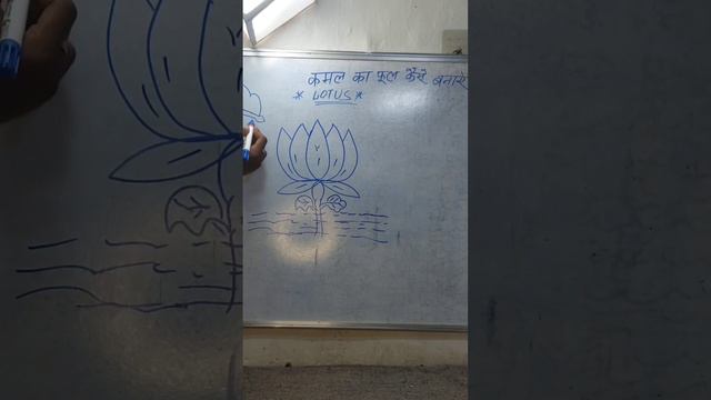 कमल का फूल कैसे बनाए? How To Draw Lotus Flowers 💐 #stutus #trending #EnfieldAyu