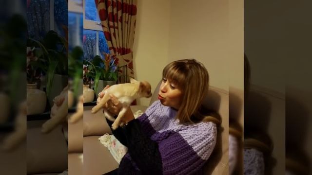 226.РОЖДЕСТВЕНСКАЯ ТЕМА В ГОРОДЕ БЕДФОРД ИЛИ ВСТРЕЧА С ДРУЗЬЯМИ./CHRISTMAS THEME IN BEDFORD.