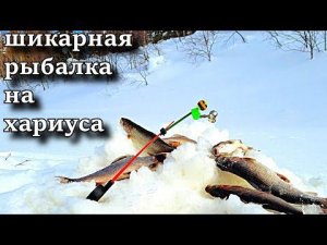 Я В ШОКЕ ОТ ТАКОЙ РЫБАЛКИ!!! ШИКАРНАЯ РЫБАЛКА НА ХАРИУСА! ВЕСНА 2022