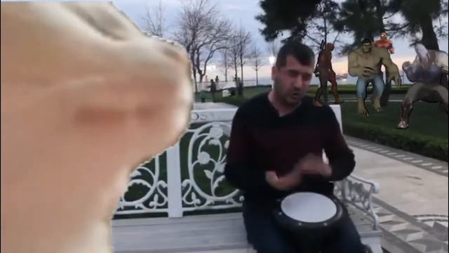 Levan Polkka Guaracha Remix - Bilal Göregen [Pari Papa Paririripi] cat vibing смотреть онлайн