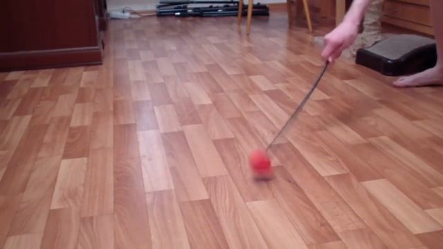 Котята мейн-кун 4 месяца