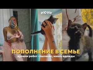 88. ЗНАКОМЬТЕСЬ, КОТЕНОК ТЯПА! | купили робот - пылесос, новая одежда