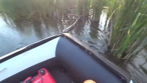 ЗАЧЁТНАЯ ловля РАКОВ на СЕКРЕТНУЮ ПРИМАНКУ)РЕАЛЬНО ЛОВИТ!!!