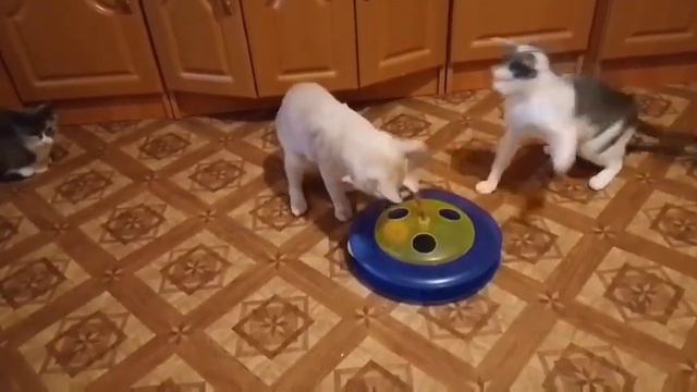 Куда без очереди. смотреть онлайн