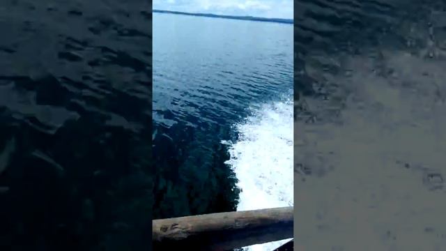 Бийск45 поездка на рыбалку 07.07.18 смотреть онлайн