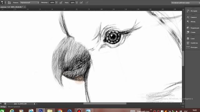 Как нарисовать попугая карандашом поэтапно. Скетчинг для начинающих смотреть онлайн