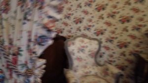 Ораниенбаум. Что посмотреть и как добраться из Санкт-Петербурга