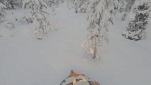 Буран МД с Lifan KP500E, езда по лесу в пухляк 50 см.