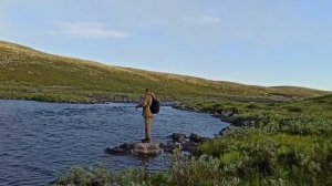 Рыбалка на Кольском,  Семга, кумжа .Баренцево море,  север. Порчниха. Медведь. Лиса.  Рыбалка.