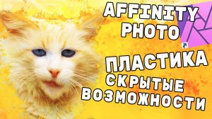 Динамический фильтр пластической деформации Affinity Photo Динамические фильтра в Affinity Designer