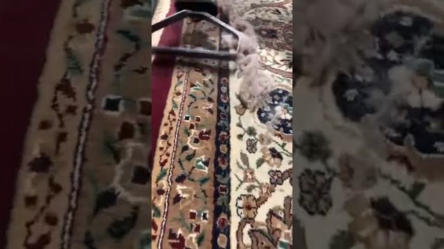 Качественная стирка ковров Челябинская область смотреть онлайн